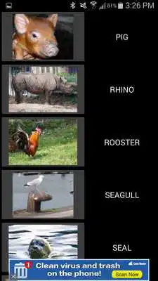 Play 50 Animal Sounds