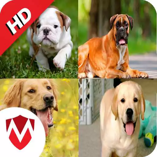 Play 50 Dog sounds APK Play 50 Dog sounds APK