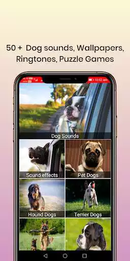 Play 50 Dog sounds  and enjoy 50 Dog sounds with UptoPlay