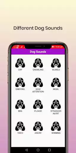 Play 50 Dog sounds as an online game 50 Dog sounds with UptoPlay