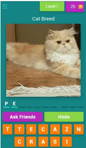 Play 50-Questions Cat Quiz  and enjoy 50-Questions Cat Quiz with UptoPlay