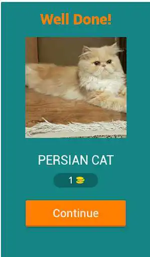Play 50-Questions Cat Quiz as an online game 50-Questions Cat Quiz with UptoPlay