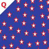 Free play online 50 us states : flags quiz APK Free play online 50 us states : flags quiz APK