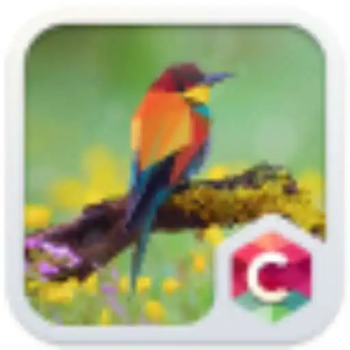 Free play online 540ec8df39ef165969faf4ea.apk  APK