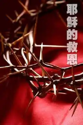 Play 5 Color Gospel - Chinese Bible Play 5 Color Gospel - Chinese Bible
