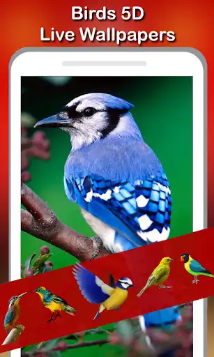 Play 5D Birds Live Wallpaper  and enjoy 5D Birds Live Wallpaper with UptoPlay