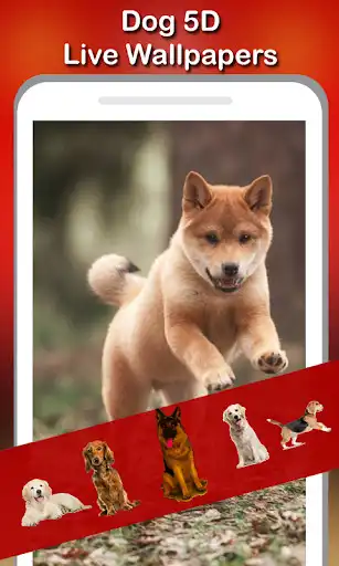 Play 5D Cute Puppies Live Wallpaper  and enjoy 5D Cute Puppies Live Wallpaper with UptoPlay