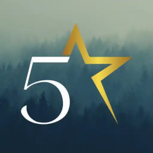 Play 5 STAR TAXI APK Play 5 STAR TAXI APK