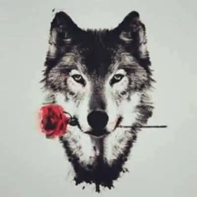 Play 6500+ Wolf Wallpapers - HD Backgrounds