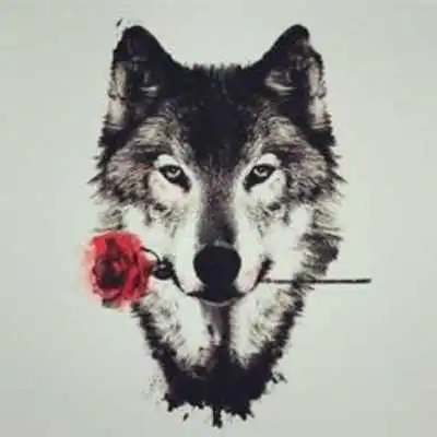 Play 6500+ Wolf Wallpapers - HD Backgrounds