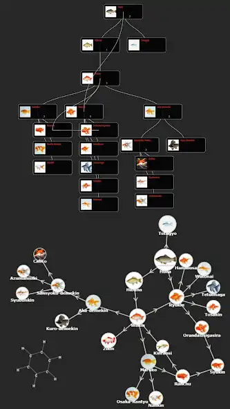 Play 6 Groups - Orgs, Trees, Maps as an online game 6 Groups - Orgs, Trees, Maps with UptoPlay