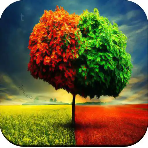 Play 6 Season wallpaper APK