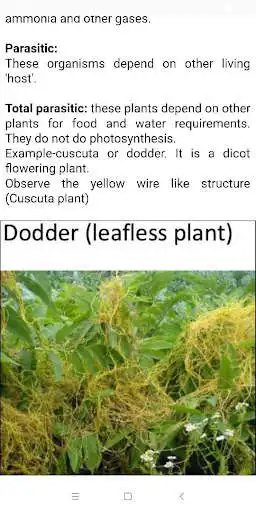 Play 6th Homi Bhabha Theory Exam Course as an online game 6th Homi Bhabha Theory Exam Course with UptoPlay