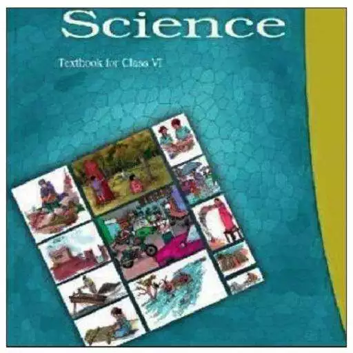 Free play online 6th Science NCERT Solution APK