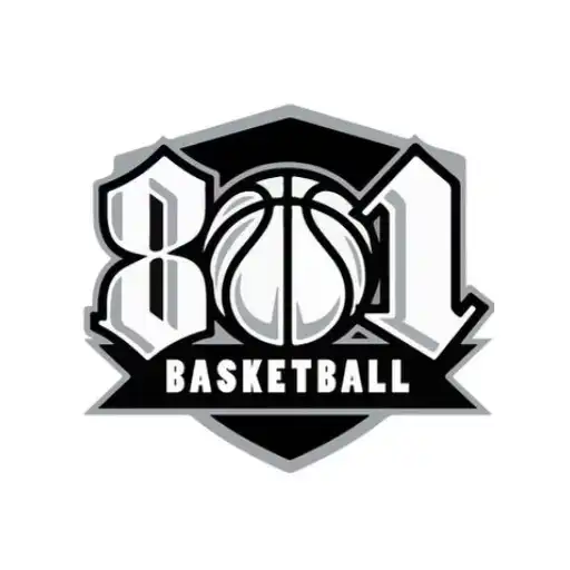 Play 801 Basketball APK