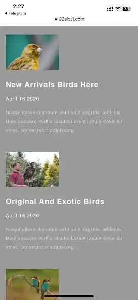 Play 92Birds  and enjoy 92Birds with UptoPlay