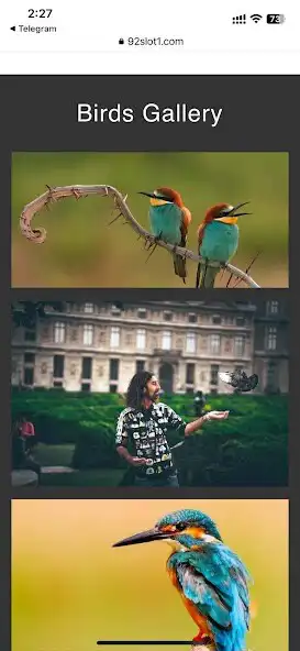 Play 92Birds as an online game 92Birds with UptoPlay