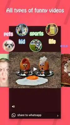 Play 9 Videos:funny WhatsApp video