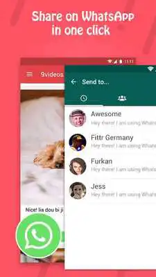 Play 9 Videos:funny WhatsApp video