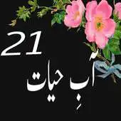 Free play online Aabe Hayat 21 Novel Urdu APK Free play online Aabe Hayat 21 Novel Urdu APK