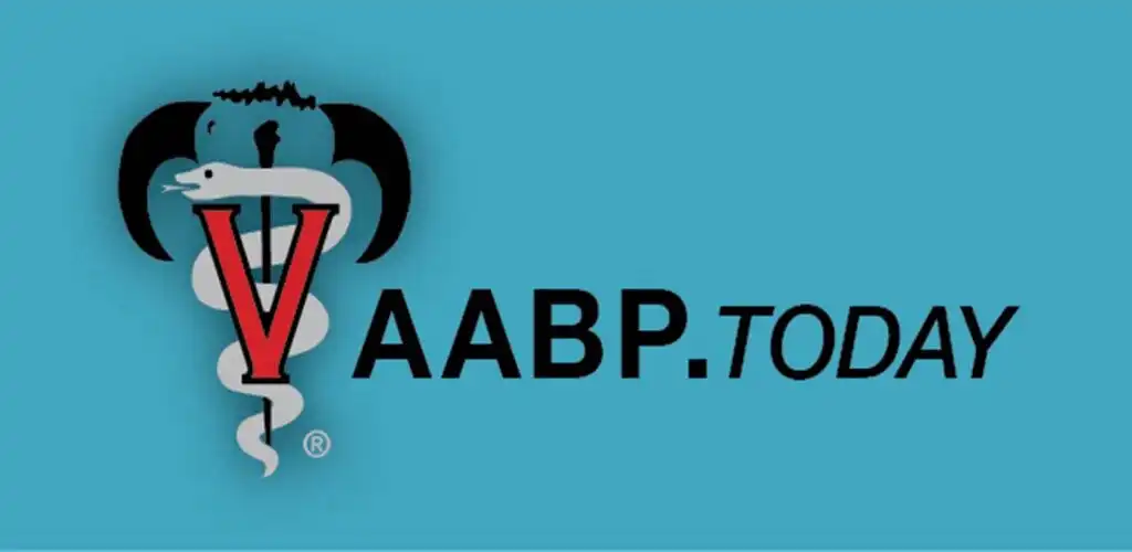 Play AABP.Today as an online game AABP.Today with UptoPlay