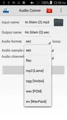 Play AAC Audio Converter