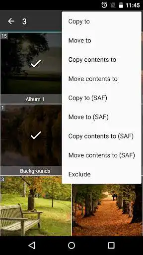 Play AA Image Viewer