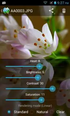 Play AA Image Viewer