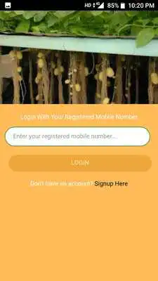 Play Aalu Wale as an online game Aalu Wale with UptoPlay