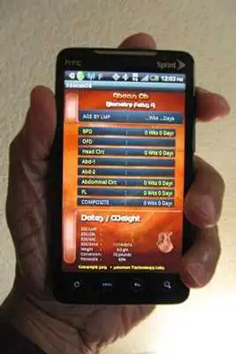 Play Abacus OB Prime - Standard