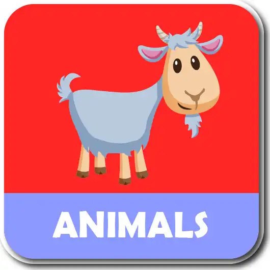 Play ABC alphabet phonic song- Kids flashcards  and enjoy ABC alphabet phonic song- Kids flashcards with UptoPlay