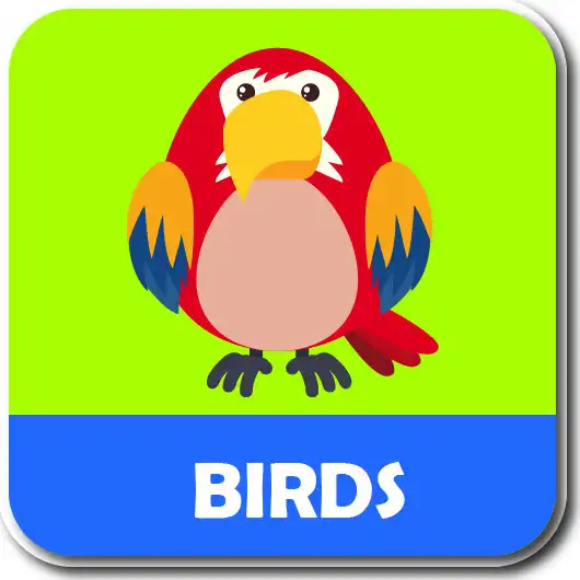 Play ABC alphabet phonic song- Kids flashcards as an online game ABC alphabet phonic song- Kids flashcards with UptoPlay