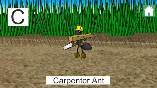 Play ABC Ants & Friends as an online game ABC Ants & Friends with UptoPlay