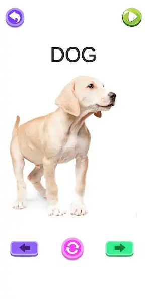 Play ABC Words - Spelling Phonics and enjoy ABC Words - Spelling Phonics with UptoPlay Play ABC Words - Spelling Phonics and enjoy ABC Words - Spelling Phonics with UptoPlay