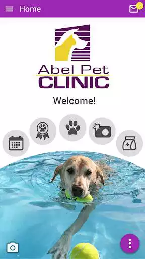 Play Abel Pet Clinic  and enjoy Abel Pet Clinic with UptoPlay