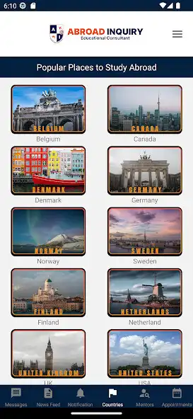Play Abroad Inquiry as an online game Abroad Inquiry with UptoPlay