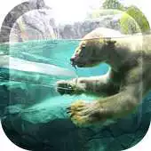 Free play online Abstract Nature Ripple LWP APK