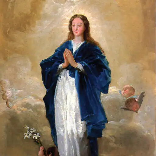 Play Academia Inmaculada Concepción APK