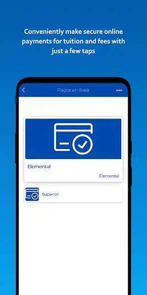 Play Academia Inmaculada Concepción as an online game Academia Inmaculada Concepción with UptoPlay