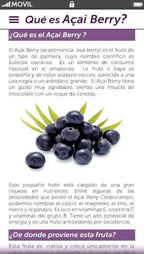 Play ACAI  and enjoy ACAI with UptoPlay