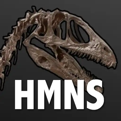 Play Access HMNS APK Play Access HMNS APK