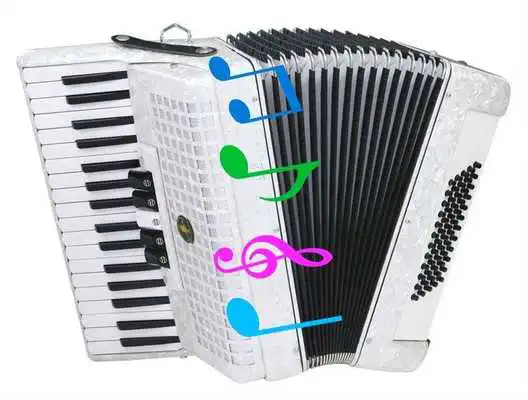 Play accordion