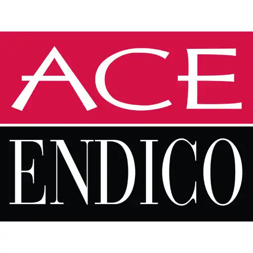 Play Ace Endico APK