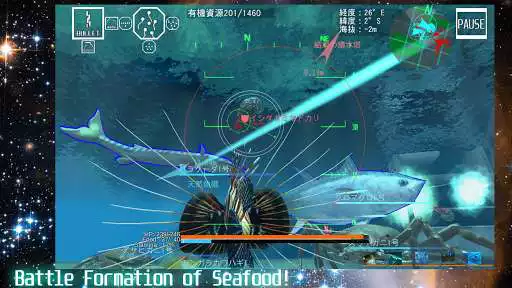 Play ACE OF SEAFOOD