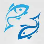 Free play online Achus Fresh Fish APK