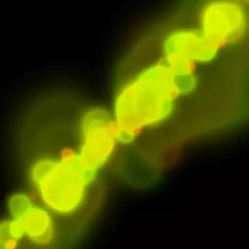 Free play online Acid Osmos Live Wallpaper APK Free play online Acid Osmos Live Wallpaper APK
