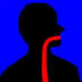 Free play online Acid Reflux Symptom Tracking APK