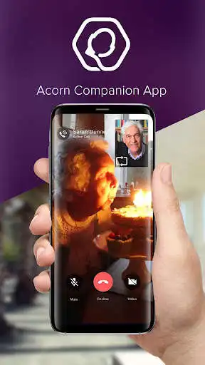 Play Acorn Companion  and enjoy Acorn Companion with UptoPlay