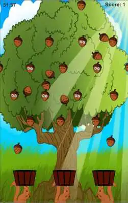 Play Acorn Plinko