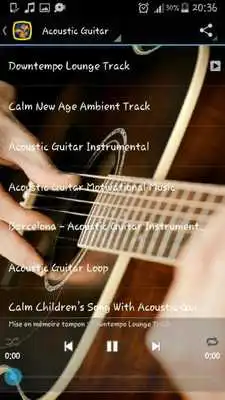 Play Acoustic Guitar Sounds